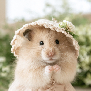 動物のフリーアイコン